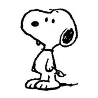 スヌーピー(SNOOPY)のピースさん専用(その他)