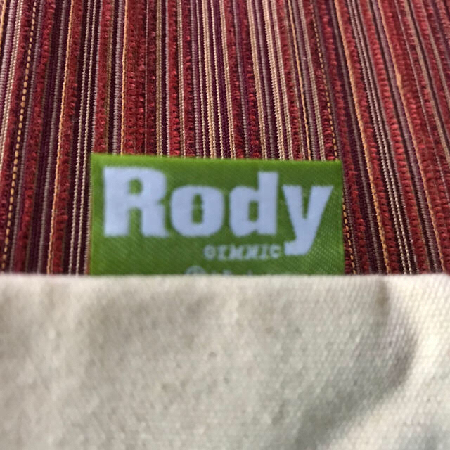 Rody(ロディ)の★☆値引き済☆新品・Rody・ミニトートバッグ☆★ レディースのバッグ(トートバッグ)の商品写真