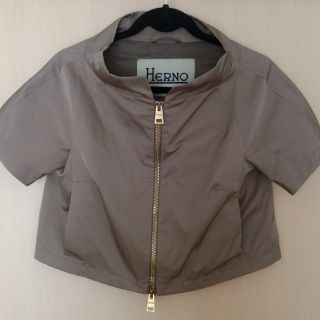 ヘルノ(HERNO)の売却先決定しました。ヘルノのサマージャケットと
ノースリーブシャツ(ノーカラージャケット)