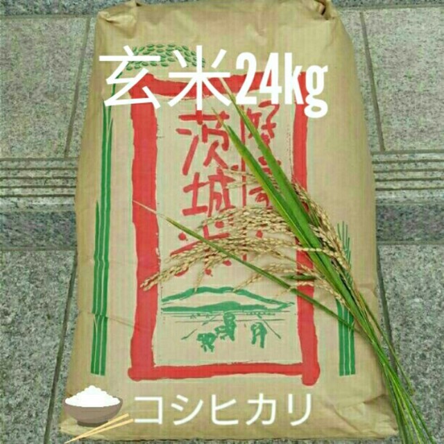 茨城29年産あきたこまち玄米20㎏食品/飲料/酒
