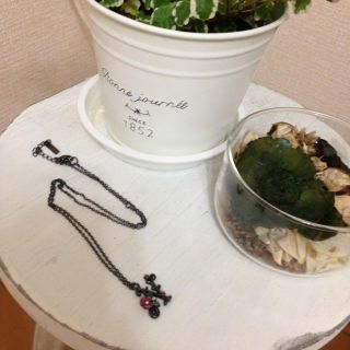 アナスイ(ANNA SUI)のアナスイネックレス(ネックレス)