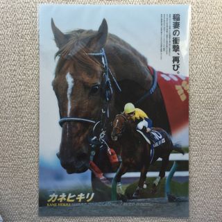 JRA カネヒキリ クリアファイル(クリアファイル)