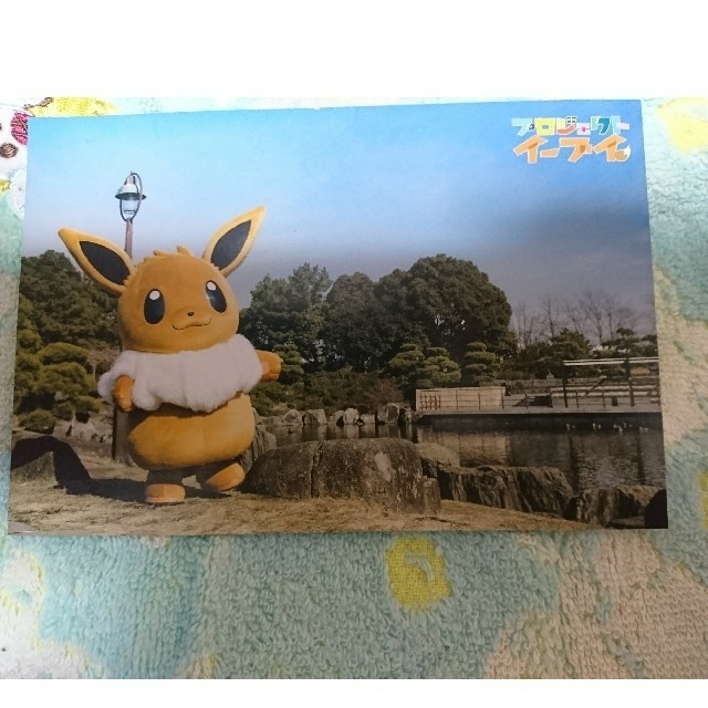 ポケモン(ポケモン)のイーブイ　ポストカード その他のその他(その他)の商品写真