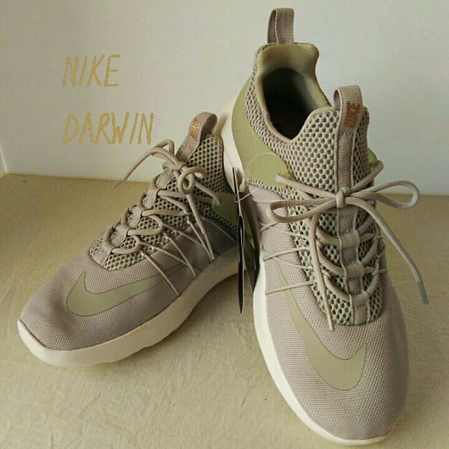 NIKE(ナイキ)の新品ナイキNIKE DARWIN/6.5＊ランニングシューズ レディースの靴/シューズ(スニーカー)の商品写真