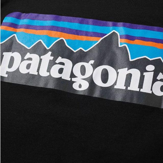 patagonia(パタゴニア)のパタゴニア patagonia S/S ロゴTシャツ サイズ：M　BLACK メンズのトップス(Tシャツ/カットソー(半袖/袖なし))の商品写真