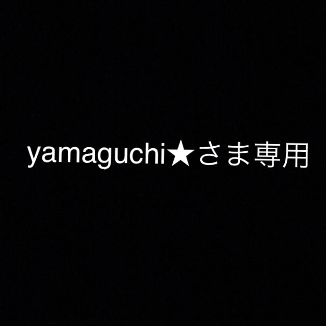 yamaguchiさま専用 その他のその他(その他)の商品写真