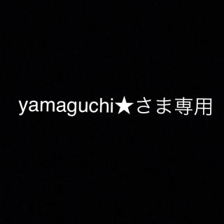 yamaguchiさま専用(その他)