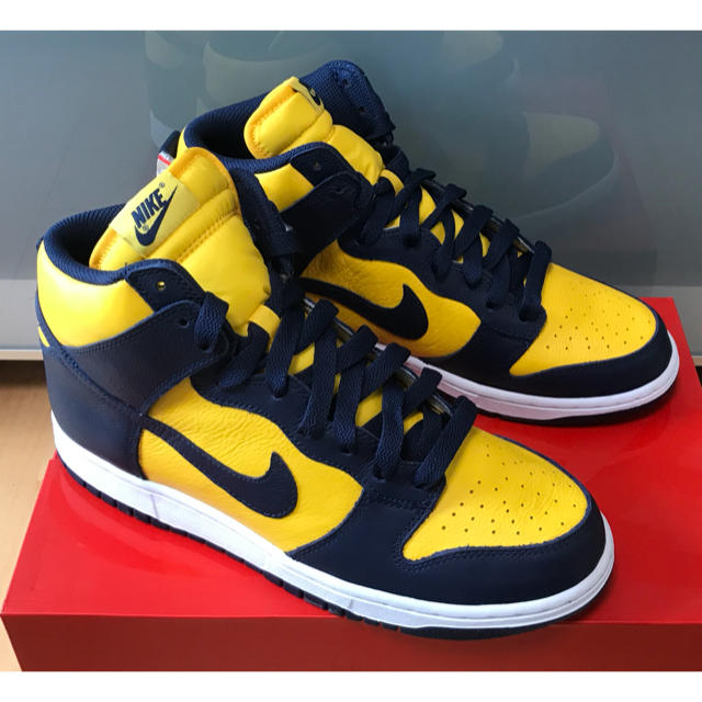 スニーカーデッドストック Nike Dunk Retro QS 28cm