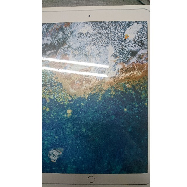 現品限り一斉値下げ！】 ipadpro シルバー MQDW2J/A 64GB wifi 10.5