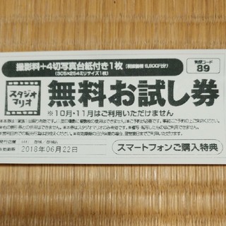 キタムラ(Kitamura)のK&E様専用　スタジオマリオ無料お試し券(その他)