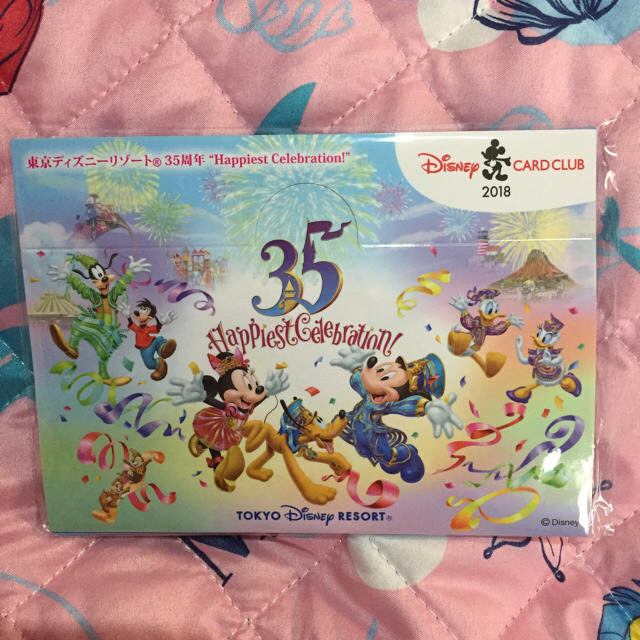 Disney(ディズニー)のディズニーJCBカード 非売品 エンタメ/ホビーのアニメグッズ(バッジ/ピンバッジ)の商品写真