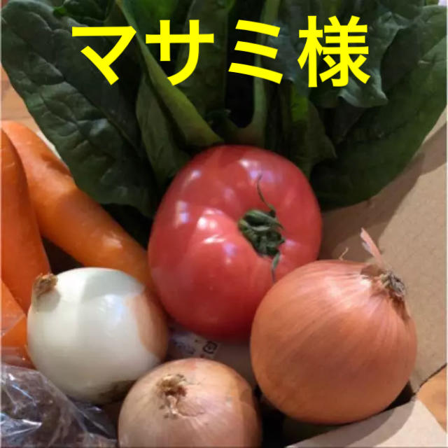 専用 食品/飲料/酒の食品(野菜)の商品写真