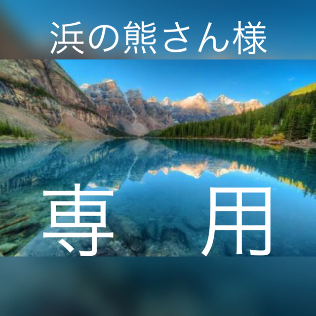 浜の熊さん様専用 clubpetschile.cl