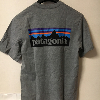 パタゴニア(patagonia)のパタゴニア P6 ロゴポケット Tシャツ！新品未使用品！値引き交渉不可！(Tシャツ/カットソー(半袖/袖なし))