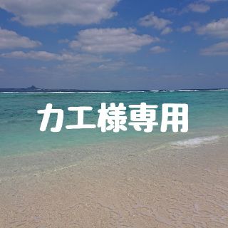 カエ様専用(カラージェル)