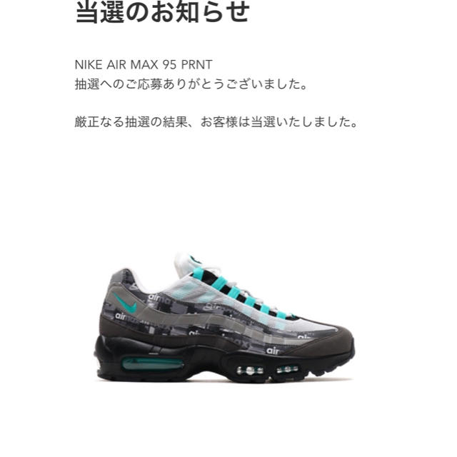 atmos NIKE AIR MAX 95 PRNT