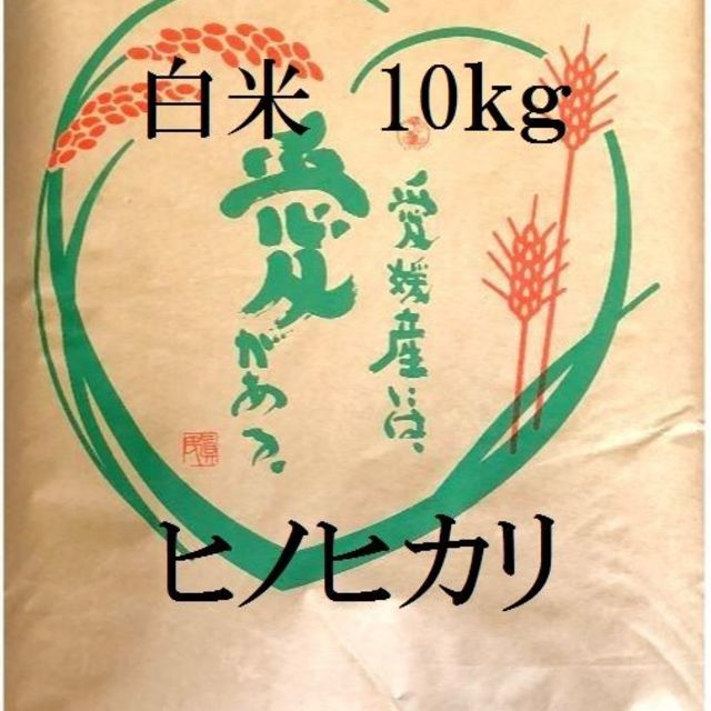 食品/飲料/酒30年度愛媛県産ヒノヒカリ100%