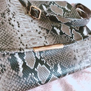 エイミーイストワール(eimy istoire)のPython bag パイソン柄バッグ(ショルダーバッグ)