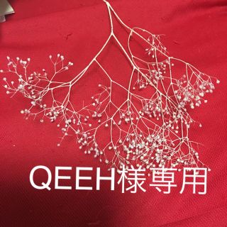 QEEH様専用(プリザーブドフラワー)