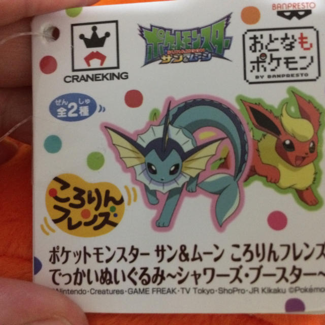 ポケモン ポケモン セガ Ufoキャッチャー でかいぬいぐるみの通販 By ブルームーン ポケモンならラクマ