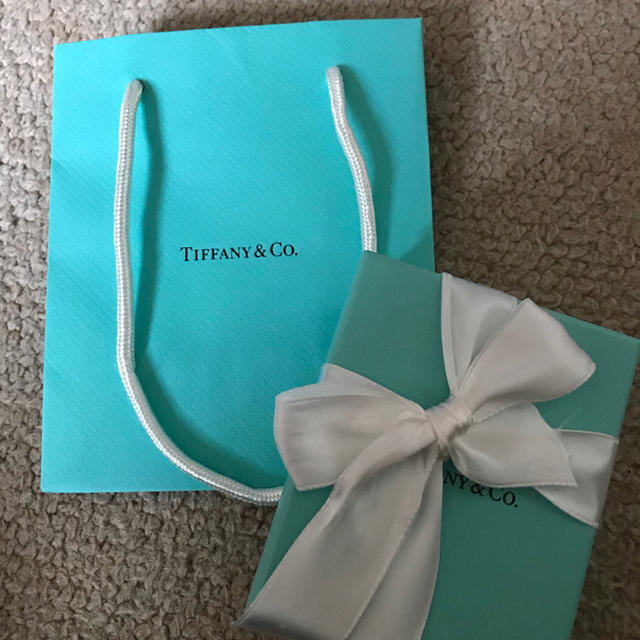 Tiffany & Co.(ティファニー)のティファニー レディースのバッグ(ショップ袋)の商品写真