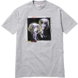 シュプリーム(Supreme)のシュプリーム Tシャツ(Tシャツ/カットソー(半袖/袖なし))