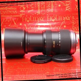 パナソニック(Panasonic)の★大迫力★大満足★超望遠レンズ★パナソニック 45-200mm★保証付き★(レンズ(ズーム))