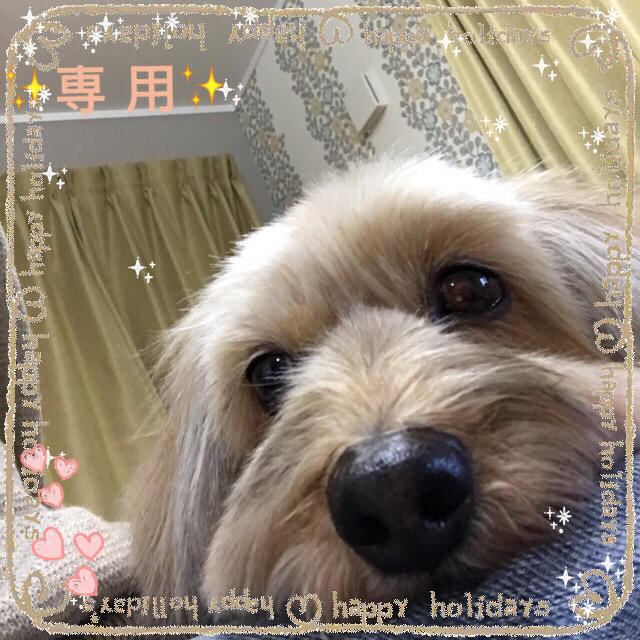 ☆れっどさま専用☆