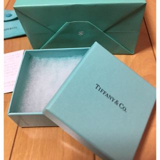 ティファニー(Tiffany & Co.)のティファニー 箱 巾着 銀製品お手入れ法(ショップ袋)