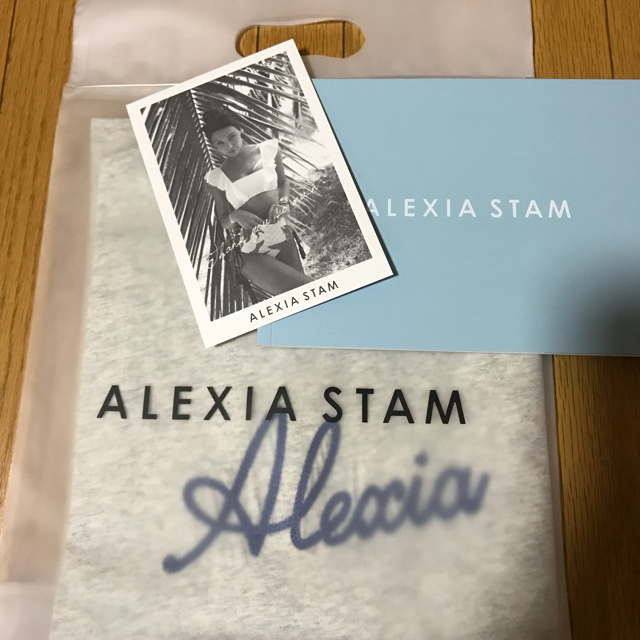 ALEXIA STAM(アリシアスタン)のALEXIA STAM  ロゴＴシャツ 完売  新品  グレー クーポン付き レディースのトップス(Tシャツ(半袖/袖なし))の商品写真