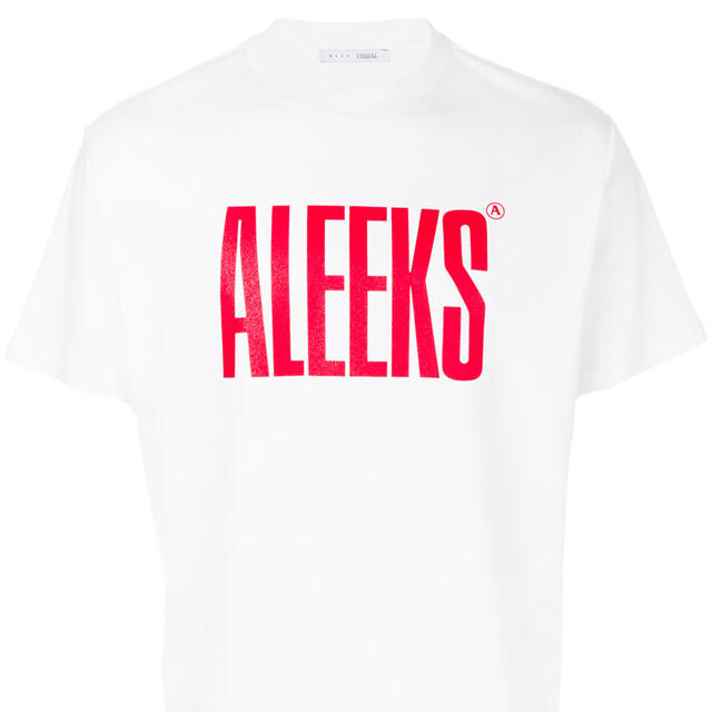 Balenciaga(バレンシアガ)の登坂着用 alyx ALEEKS tee メンズのトップス(Tシャツ/カットソー(半袖/袖なし))の商品写真