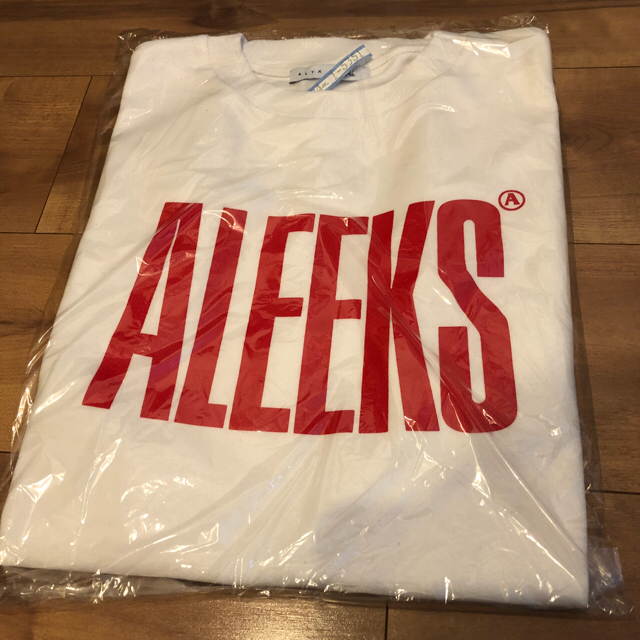 Balenciaga(バレンシアガ)の登坂着用 alyx ALEEKS tee メンズのトップス(Tシャツ/カットソー(半袖/袖なし))の商品写真