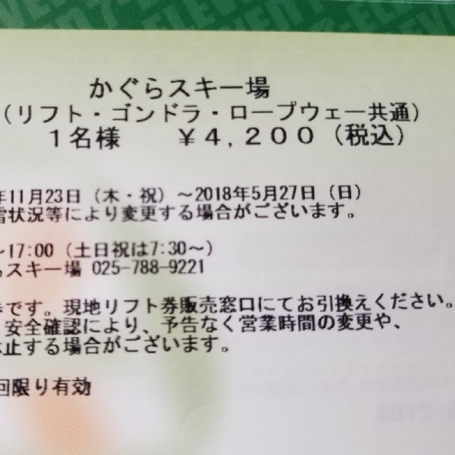 どいら様専用 チケットの施設利用券(スキー場)の商品写真