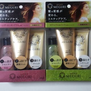 アジエンス(ASIENCE)のASIENCE　MEGURI体験ボックスセット(シャンプー)