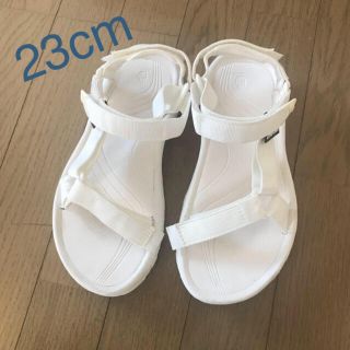 テバ(Teva)のteva 23cm(サンダル)