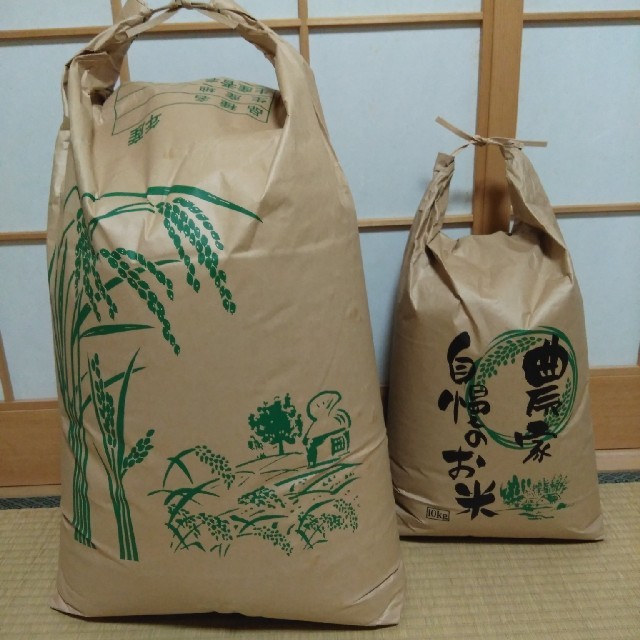 愛媛県産ヒノヒカリ30Kg 29年度米 | rgbplasticos.com.br