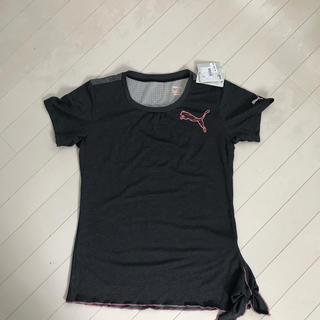プーマ(PUMA)の新品PUMA のTシャツ Lサイズ(Tシャツ(半袖/袖なし))