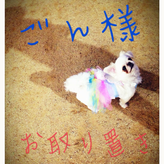GU(ジーユー)のショートパンツ♡ レディースのパンツ(ショートパンツ)の商品写真