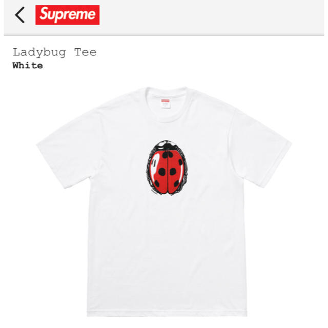 Supreme(シュプリーム)のsupreme ladybug tee  メンズのトップス(Tシャツ/カットソー(半袖/袖なし))の商品写真