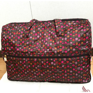 折りたたみ式キャリーオンバッグ(スーツケース/キャリーバッグ)