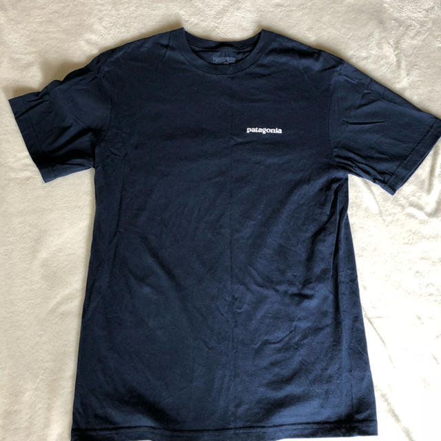 patagonia(パタゴニア)のパタゴニア Tシャツ メンズのトップス(Tシャツ/カットソー(半袖/袖なし))の商品写真