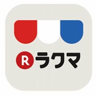 ホーリーホ―リ様専用(その他)