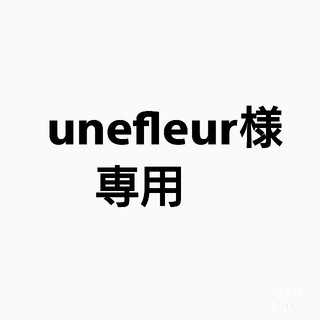 unefleur様専用(ドライフラワー)