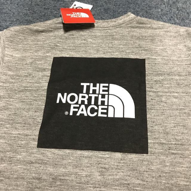 THE NORTH FACE(ザノースフェイス)のノースフェイス ✴︎北海道 阿寒湖 限定✴︎ グレー メンズのトップス(Tシャツ/カットソー(半袖/袖なし))の商品写真