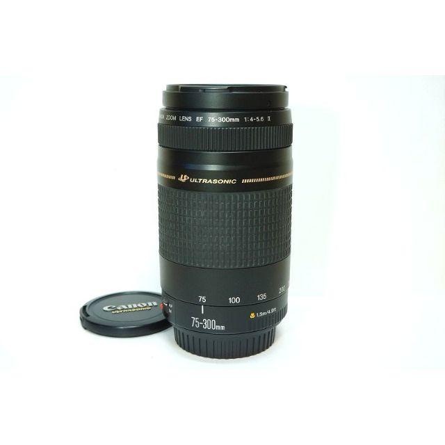【大望遠レンズ 】 Canon EF 75-300mm F4-5.6 II