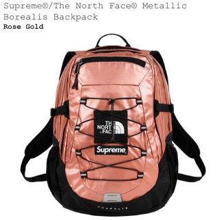 シュプリーム(Supreme)のSUPREME The North Face Metallic Backpack(バッグパック/リュック)