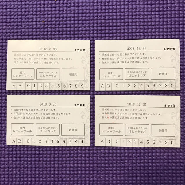 奈良健康ランド チケット チケットの施設利用券(その他)の商品写真