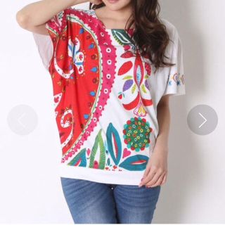 デシグアル(DESIGUAL)の新品 デシグアル Tシャツ 定価10090円 S、M、Lラスト1点 5/7迄‼️(Tシャツ(半袖/袖なし))