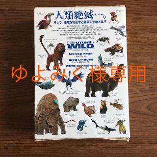 DVD フューチャー イズ ワイルド 中古(その他)