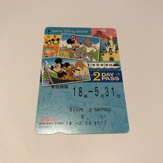 ディズニー(Disney)のディズニーリゾートライン 2DAY PASS(遊園地/テーマパーク)